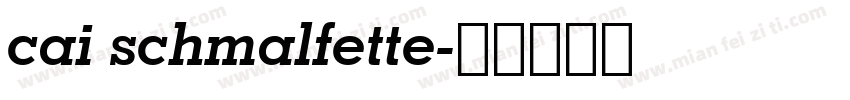 cai schmalfette字体转换